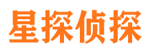 东河市调查公司